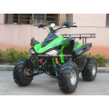 Ew 150cc ATV Quad, CE Approval, Chain, Utility ATV/Quad Wv-ATV018